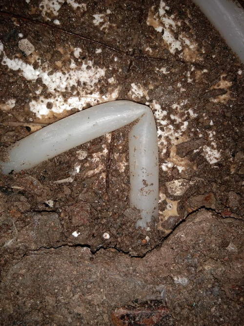 定远堵点精准查找